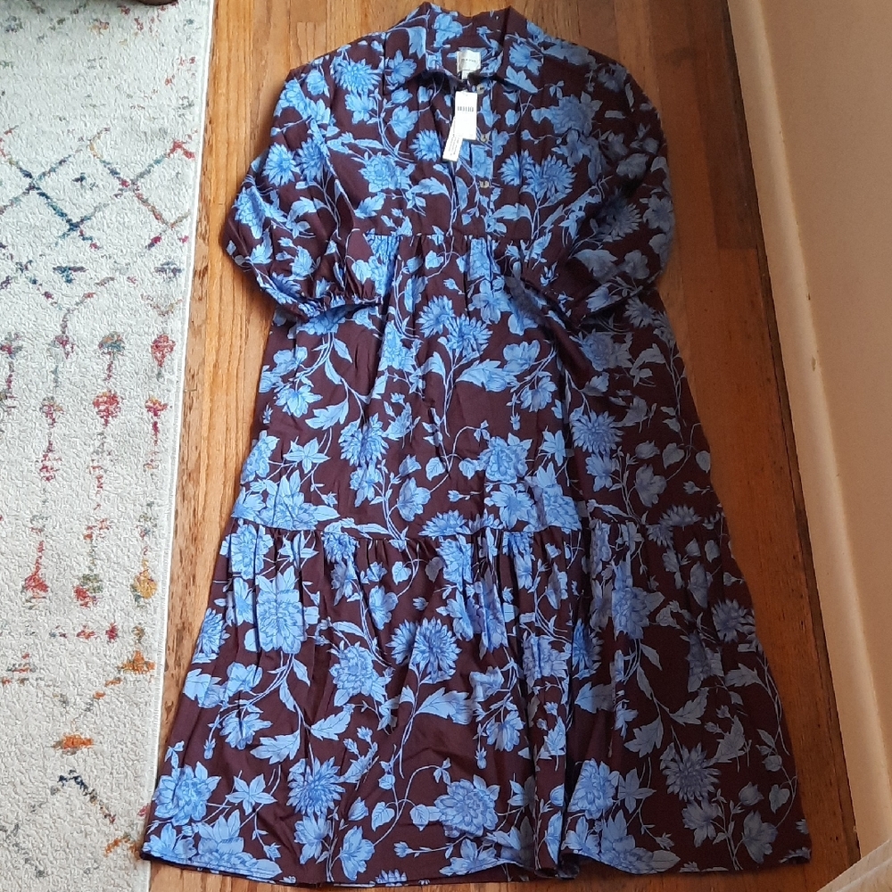 Anthropologie Chocolate Brown Midi Dress with Sky Blue Floral Pattern